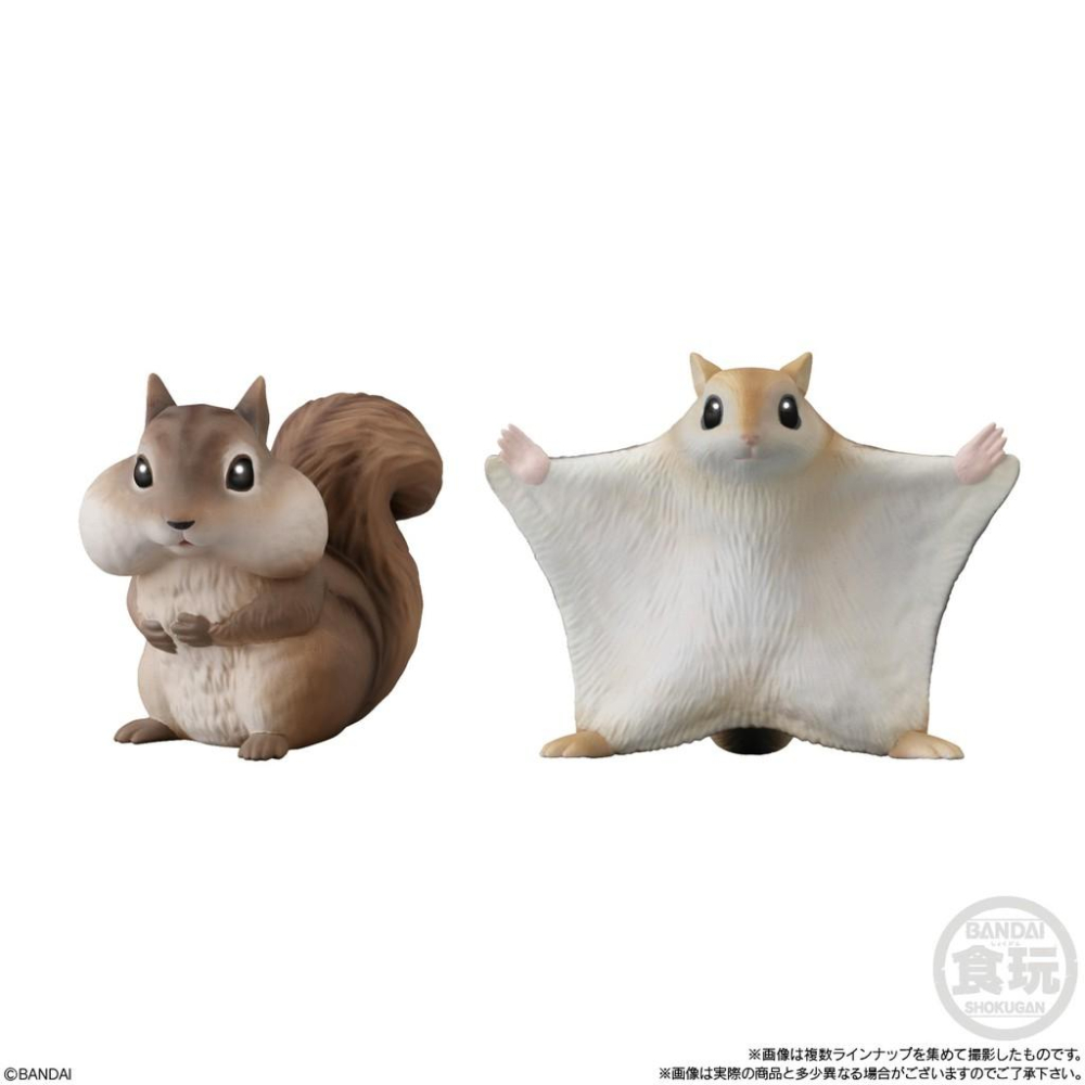 現貨）日本代購 盒玩系列 萌寵大集合 2021年2月-細節圖7