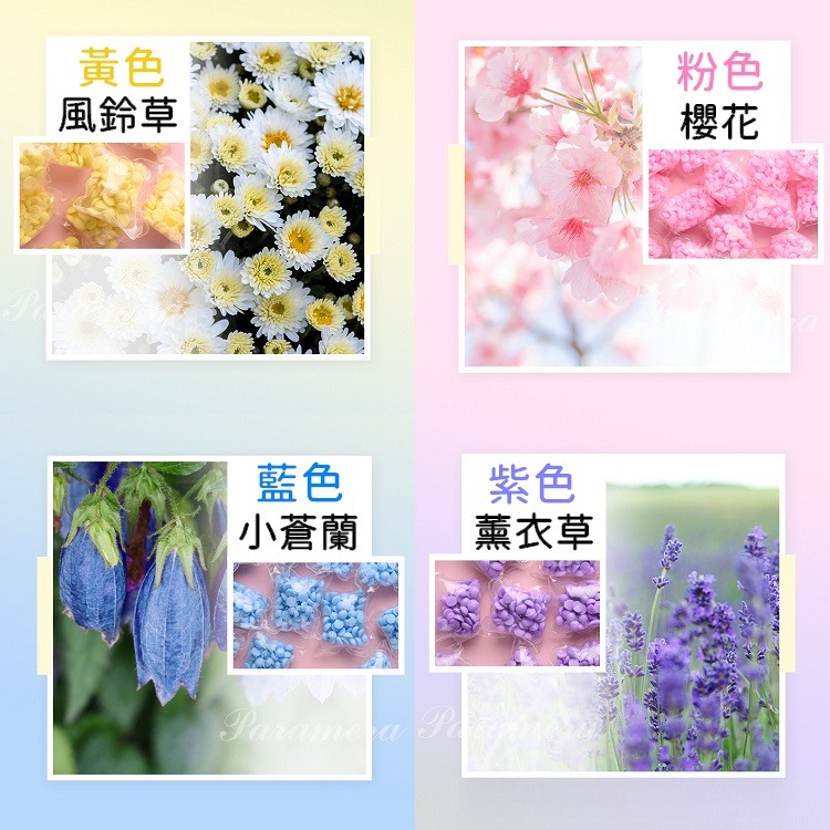【24H出貨🔥】 香香豆 洗衣香香豆 衣物香香豆 洗衣豆 洗衣香豆 洗衣芳香豆 衣服芳香豆 留香珠【RS1448】-細節圖6