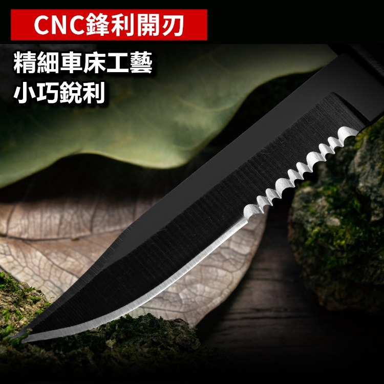 小刀 迷你刀 鑰匙刀 項鍊小直刀 掛頸小刀 鑰匙鍊小刀 USMC 項鍊小直刀 迷你刀【CP158】-細節圖5
