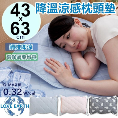 【台灣24H出貨】涼感枕頭套 枕頭套 枕頭保潔墊 枕套 枕巾 枕頭墊 冰涼墊【RS798】
