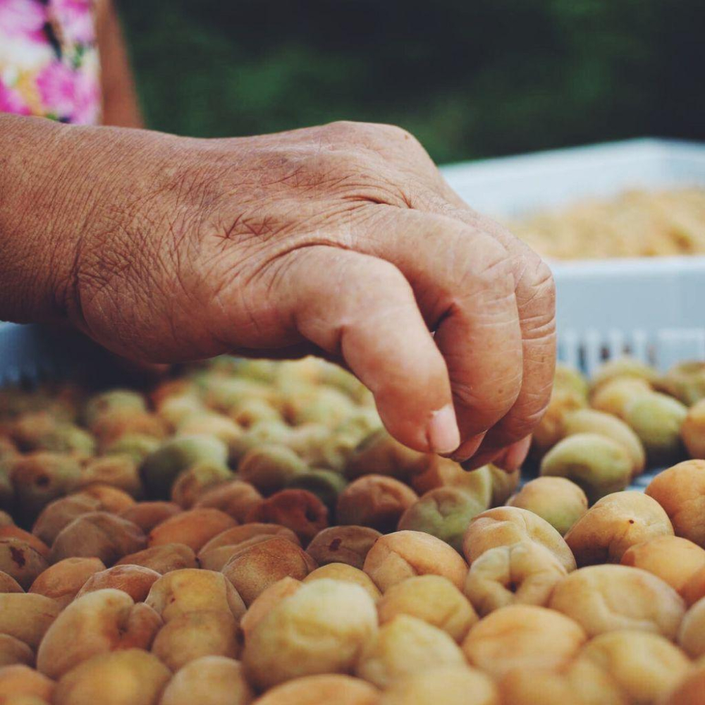 「小滿穀雨」脆福梅隨手包 脆福梅 脆梅 梅子 梅乾 隨手包 天然無添加 純手工製作 台南楠西梅嶺-細節圖4