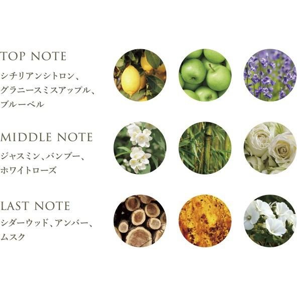 (歐盟認證   頂級護髮)義大利高效滲透護髮膜沖洗型250ML/護髮/SALON級/熱銷歐洲 日本-細節圖6