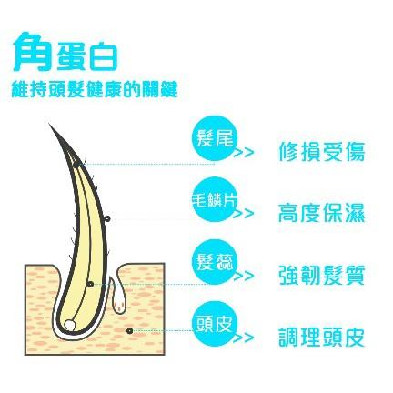 [鎖色活髮] 貝氏角蛋白鎖色活髮素   復原素  生化高科技補蛋白   大容量1000ML   義大利原裝  俄羅斯熱銷-細節圖4