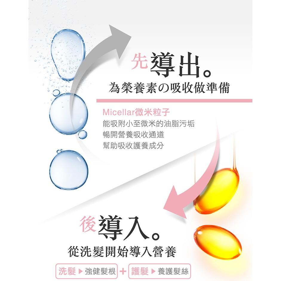 ✮5分鐘護髮✮義大利JOC深層護色洗髮精/護髮1000ml    髮膜   護髮  洗髮 1000ML-細節圖4