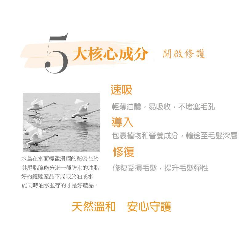 KLEO摩洛哥貴族油   護髮   修復髮尾15公分    髮絲彈力賦活   順髮  直髮-細節圖3