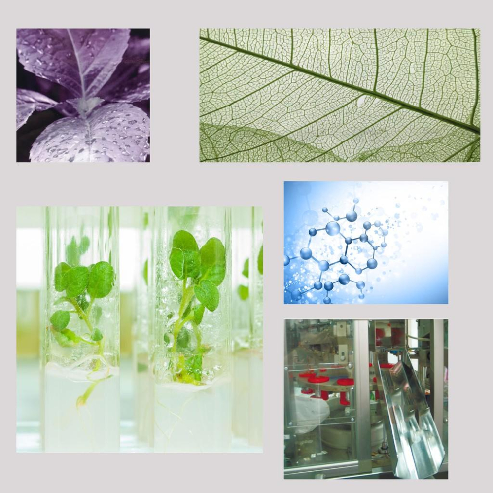 義大利MAIA染膏/永久染/大容量100ML/染髮-細節圖5