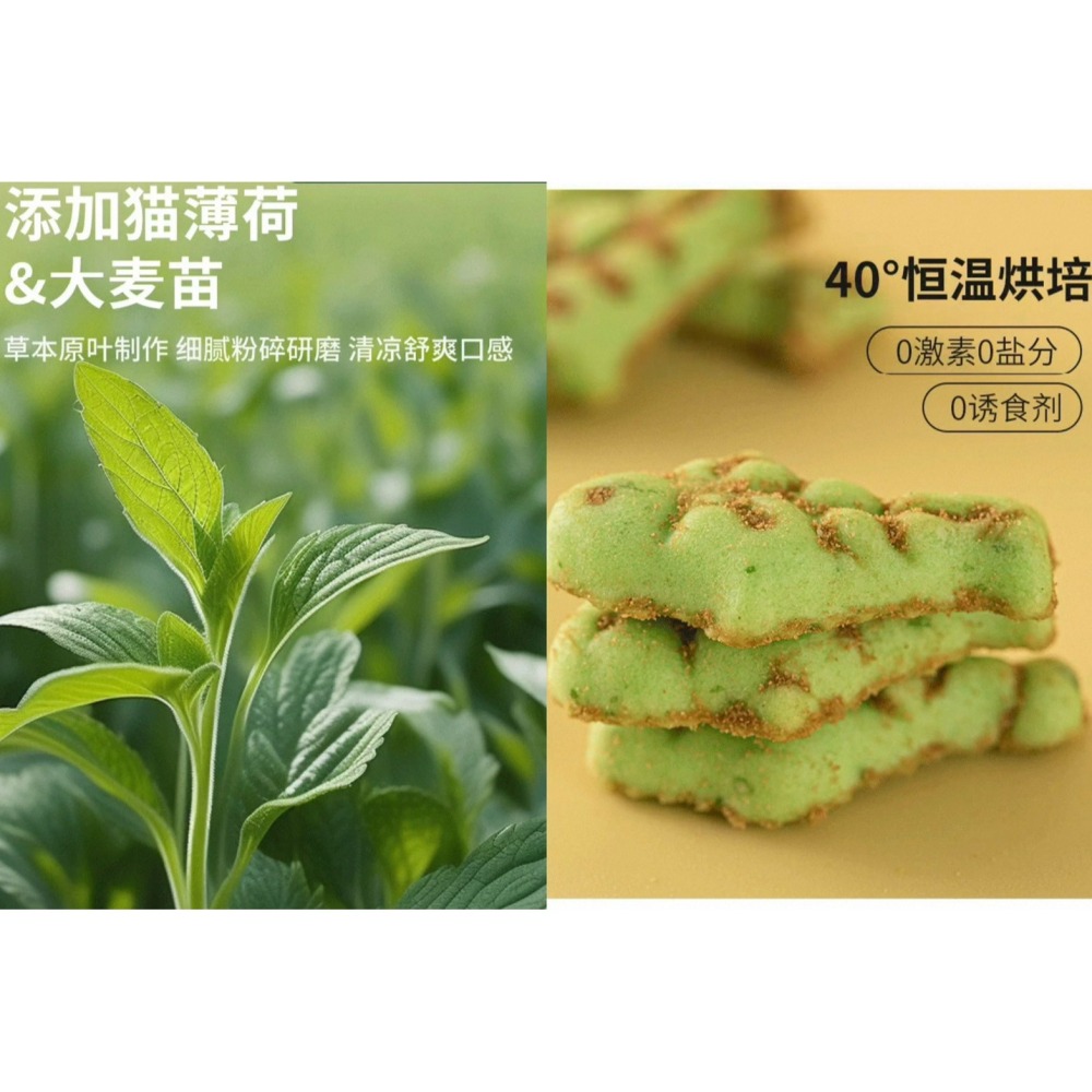 貓草餅乾 貓咪零食 解饞 貓餅乾 薄荷味貓草餅乾 貓零食餅乾 即食去毛球  貓磨牙片 貓草粒片 幼貓成貓 磨牙潔齒-細節圖8