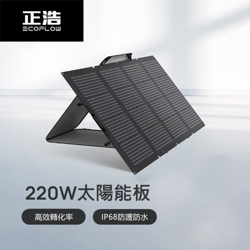 EcoFlow 正浩 220W 雙面便攜太陽能板