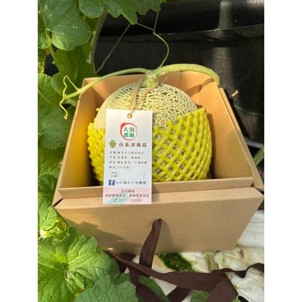 大洧農園-阿露斯洋香瓜（單入禮盒）-細節圖8