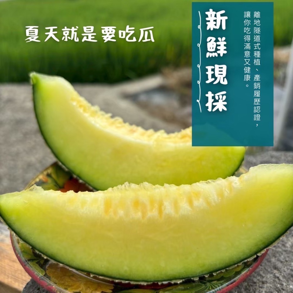 大洧農園-阿露斯洋香瓜（雙入禮盒）-細節圖4