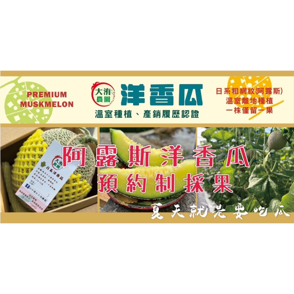 大洧農園-阿露斯洋香瓜（雙入禮盒）-細節圖6