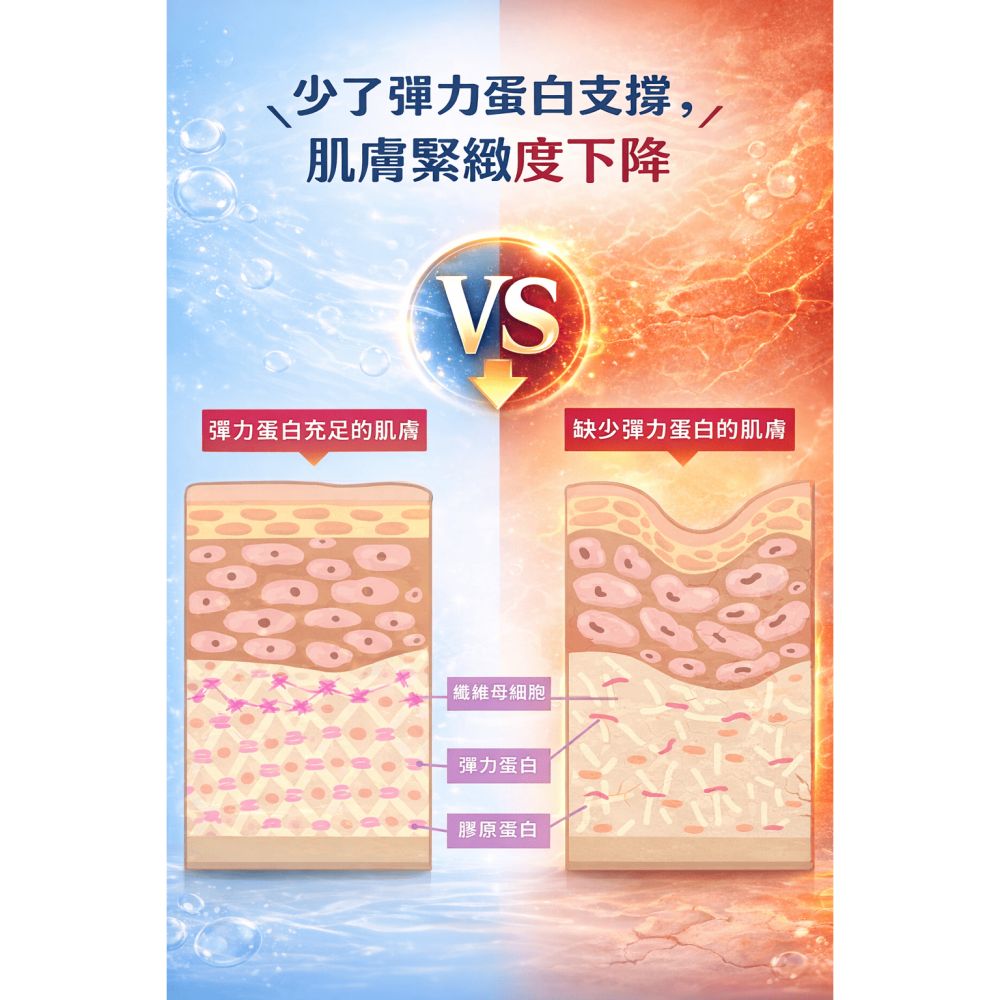 德製水解膠原蛋白粉 200g／罐   100% 純水解膠原蛋白-細節圖7