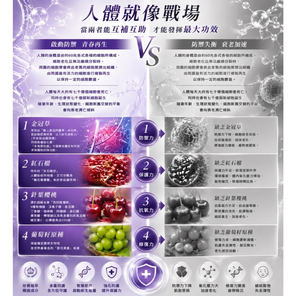 【團購】妍美会 若返膜力神泌錠 30粒/盒/效期2028年後，1650元-細節圖4