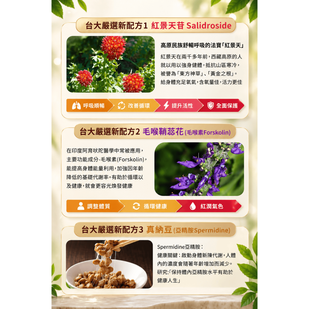 【團購】【台灣正品公司貨】東森新世代活泉精華膠囊(10粒/小盒)最新代產品/效期2028年後，2盒1100元-細節圖4