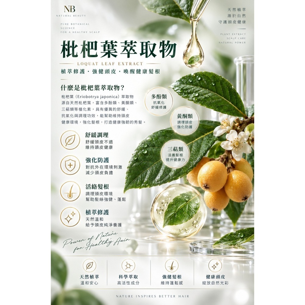 【獨家】【團購】自然美 NB賦源強健洗髮露500ml｜外泌體科技 頭皮調理 溫和潔淨 蓬鬆秀髮 枇杷葉 桑白皮 八重櫻-細節圖4