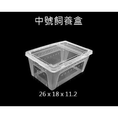 飼養盒 飼養箱 大中小號-細節圖2