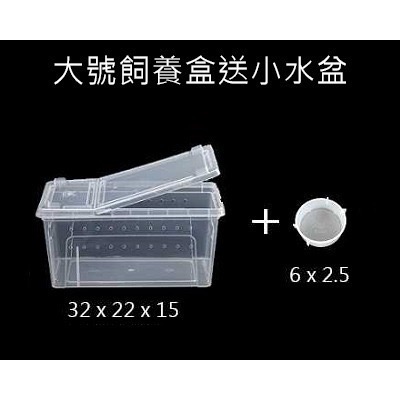 飼養盒 飼養箱 大中小號-細節圖3