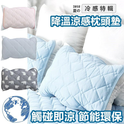 【🔥台灣24H出貨🔥】枕頭套 涼感枕頭套 枕頭保潔墊 枕套 枕巾 枕頭墊 冰涼墊【RS798】