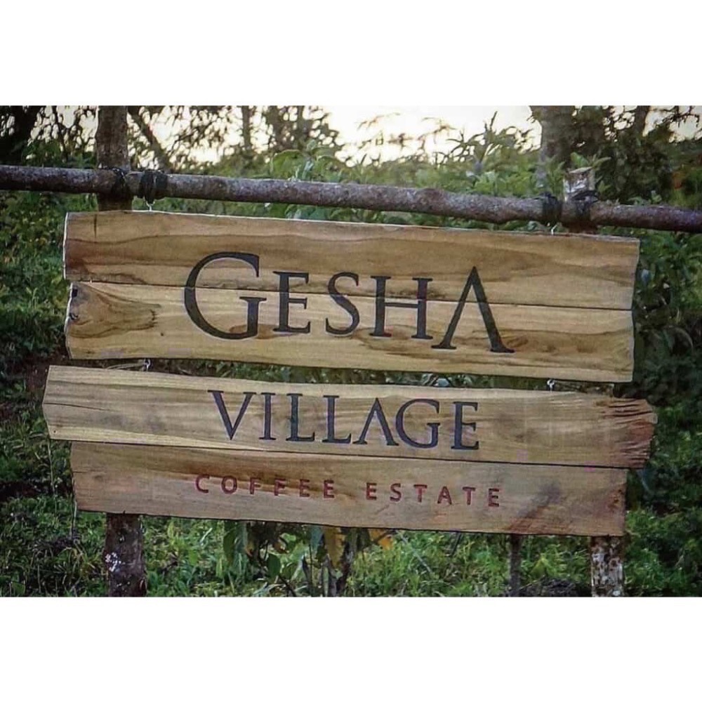 衣索比亞瑰夏藝伎村『綠標藝伎』-細節圖5