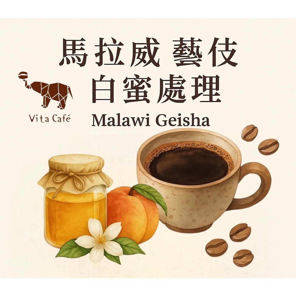 藝伎 濾掛咖啡25入（衣索比亞/馬拉威）-細節圖9