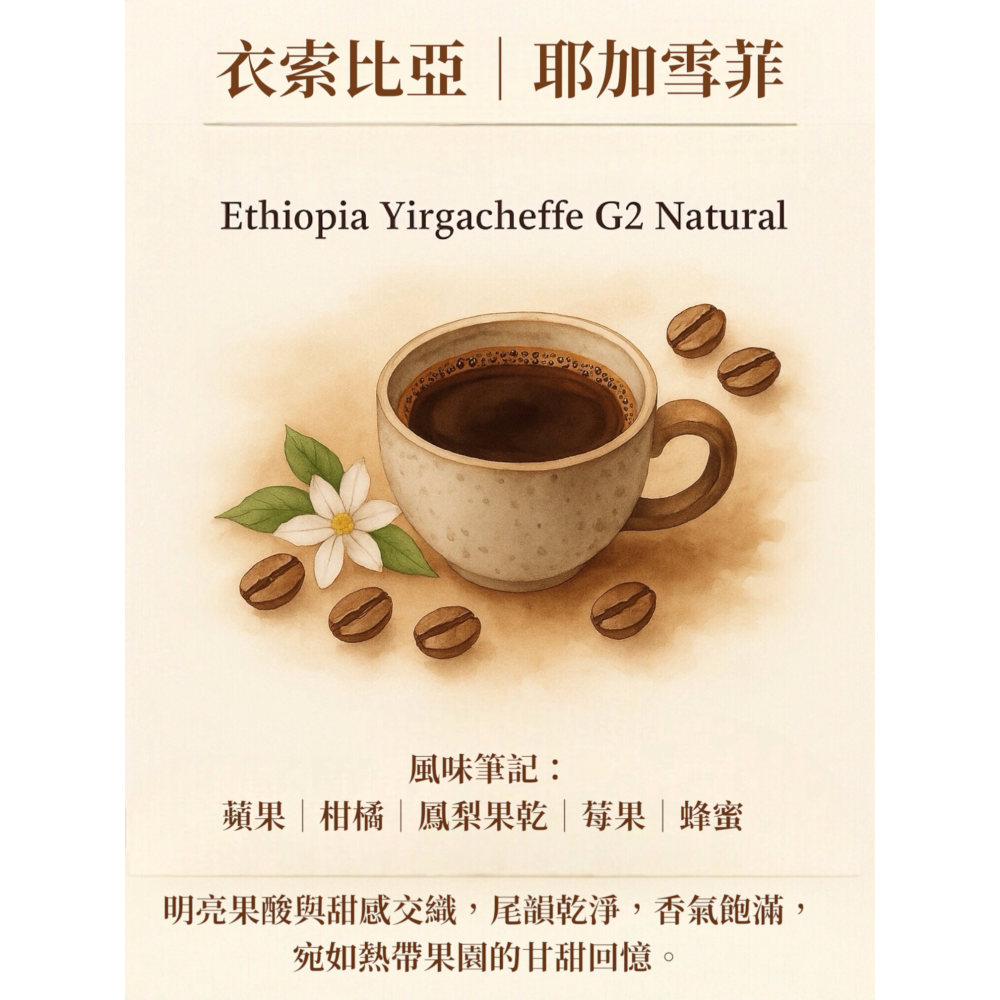 耶加雪菲/日曬/淺焙：紅莓草莓水果花香-細節圖2