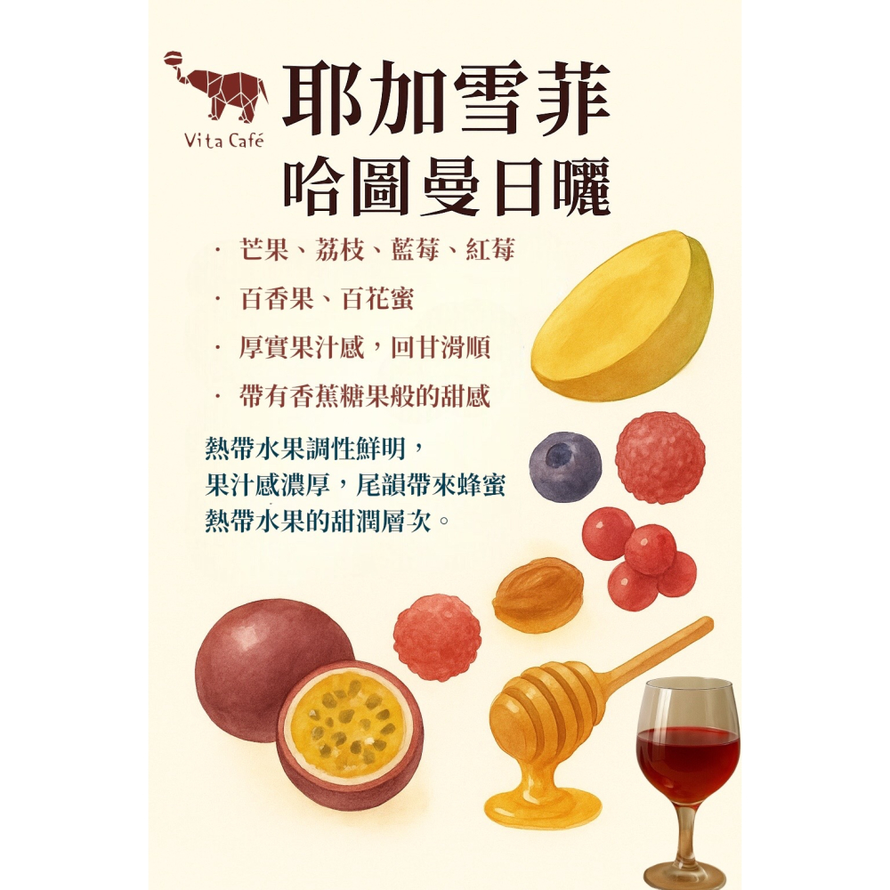 耶加雪菲/哈圖曼/G1日曬/淺焙-細節圖2