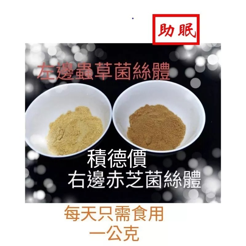 青春樹-靈芝菌絲體［防疫、助眠好物，千年經驗漢方材料(赤芝.茵陽芝)Ganoderma lucidum-細節圖2