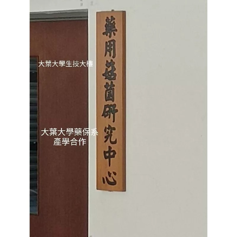 猴頭菇（穀物乾式發酵）菌絲體粉末-細節圖3