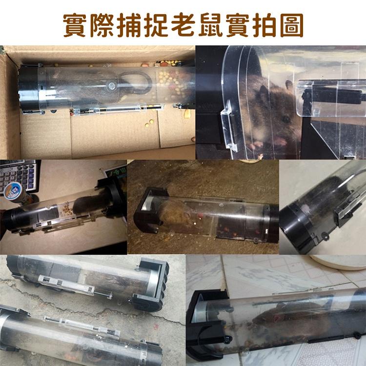 捕鼠籠 捕鼠器 抓老鼠神器 鼠洞式捕鼠器 老鼠籠子 捕鼠瓶 滅鼠器 捕鼠 鼠籠 抓鼠 滅鼠神器 黏鼠板 【RS1383】-細節圖9