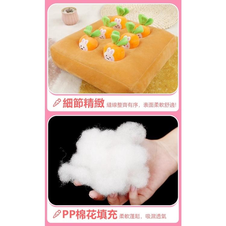 拔蘿蔔 寵物玩具 拔蘿蔔玩具 狗狗玩具 抱枕 狗狗用品 拔蘿蔔玩具寵物 益智玩具 寵物用品 狗玩具 學習【RS1316】-細節圖9