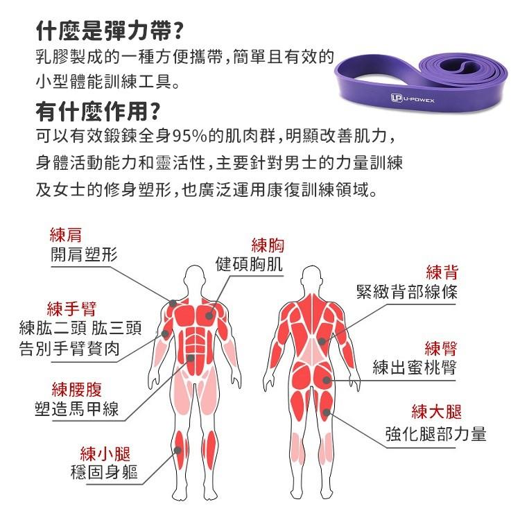 健身 彈力帶 專業訓練拉力帶 附收納袋 重訓拉力帶 健身拉力帶 阻力帶 拉力繩 阻力繩 重訓 瑜珈【RS1163】-細節圖9