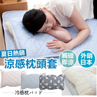 台灣出貨 枕頭保潔墊 枕套 外銷日本第一 冰絲 涼感枕頭套 枕巾 枕頭墊 冰涼墊【RS798】