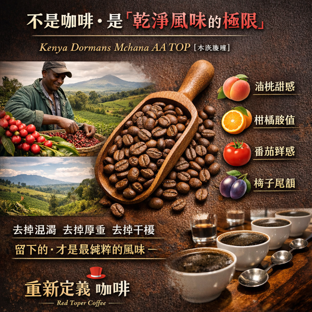 紅頂商人咖啡｜肯亞 多門 母恰娜 AA TOP｜水洗精品咖啡豆｜梅子柑橘油桃番茄風味｜高海拔手採-細節圖4