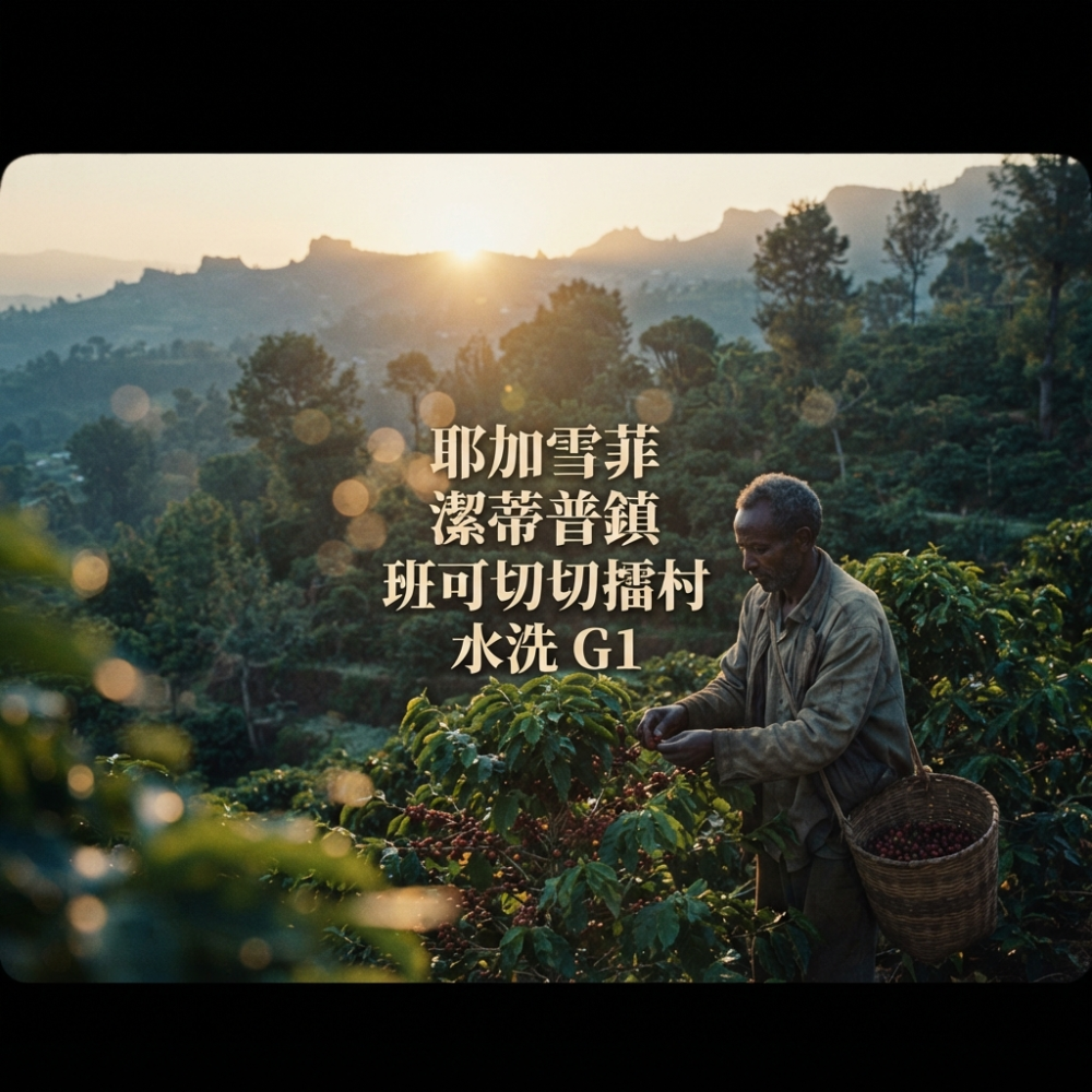 衣索比亞 蓋德奧 耶加雪菲 潔蒂普鎮 班可切切擂村 水洗 G1 咖啡豆