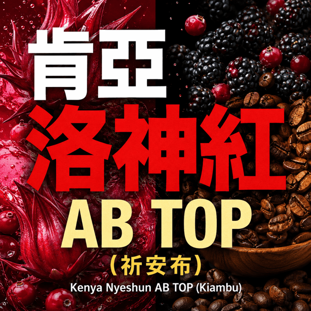 肯亞 洛神紅 AB TOP (祈安布) 肯亞淺烘焙咖啡豆