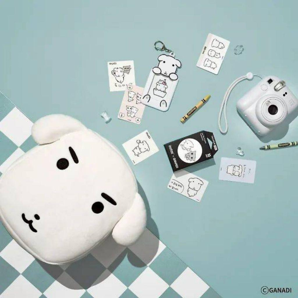 韓國連線 Ganadi dog 迦納迪犬 x Instax 拍立得mini 12套組-細節圖4