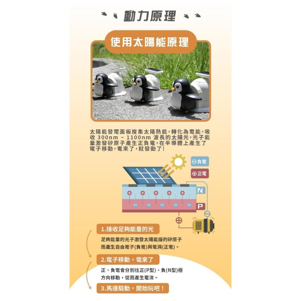 【Pro＇sKit 寶工】GE-691 企鵝寶寶 Bobo 親子 DIY 學習教具 ST安全玩具 模型 台灣製造-細節圖5