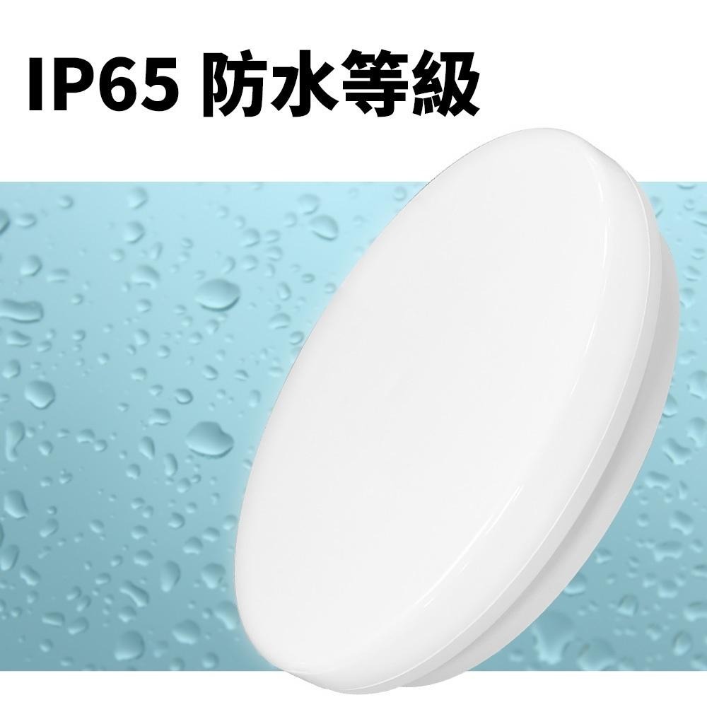 【formosa】18W 防水吸頂燈 自然光-細節圖3