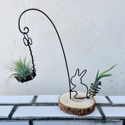 【Yasha 微甜多肉小陽台】空氣鳳梨的家 / 小兔兔與她的禮物
