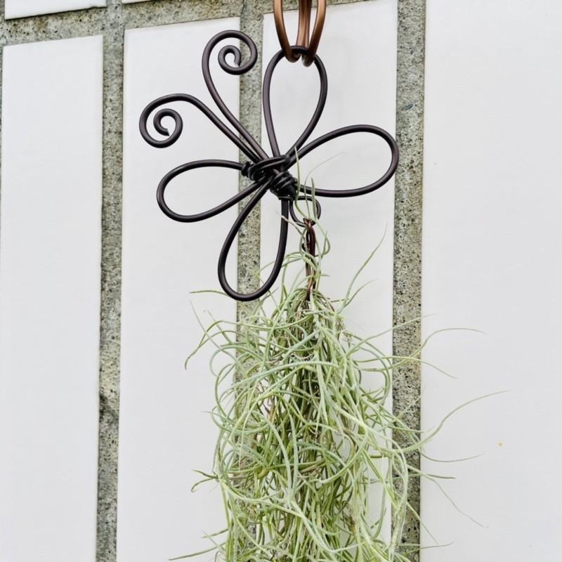 微甜多肉小陽台·空氣鳳梨的家 / 蝴蝶松蘿掛架（不含松蘿)-細節圖3