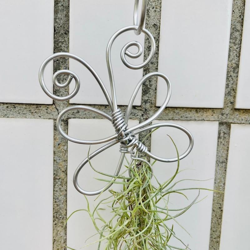 微甜多肉小陽台·空氣鳳梨的家 / 蝴蝶松蘿掛架（不含松蘿)-細節圖4