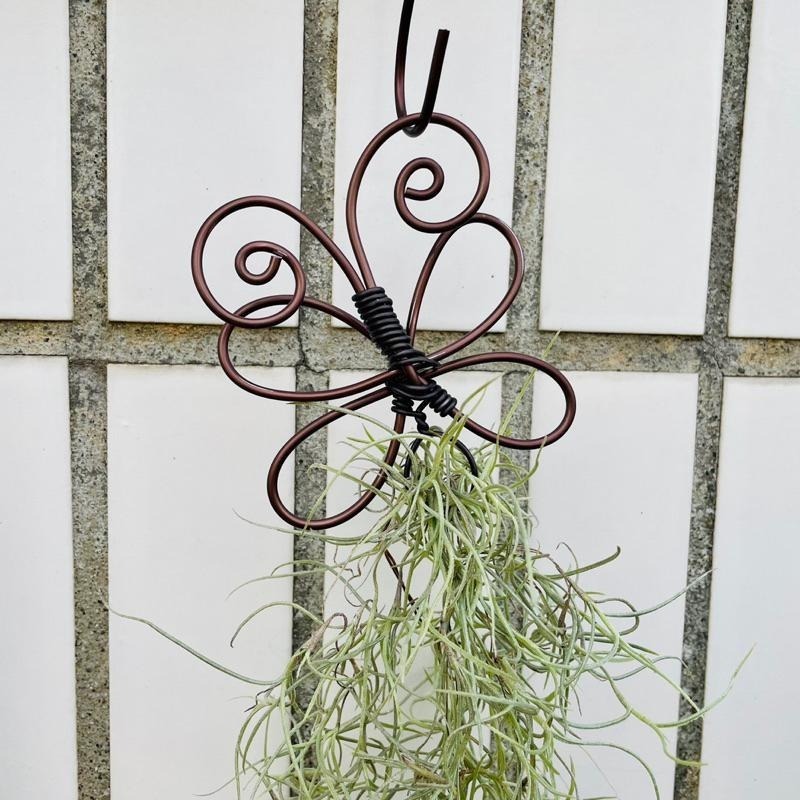 微甜多肉小陽台·空氣鳳梨的家 / 蝴蝶松蘿掛架（不含松蘿)-細節圖5