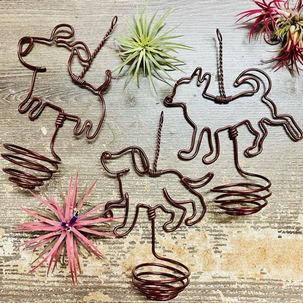 微甜多肉小陽台．空氣鳳梨的家｜鋁線手作．毛小孩．狗狗．空鳳掛架(不含植物)-細節圖2