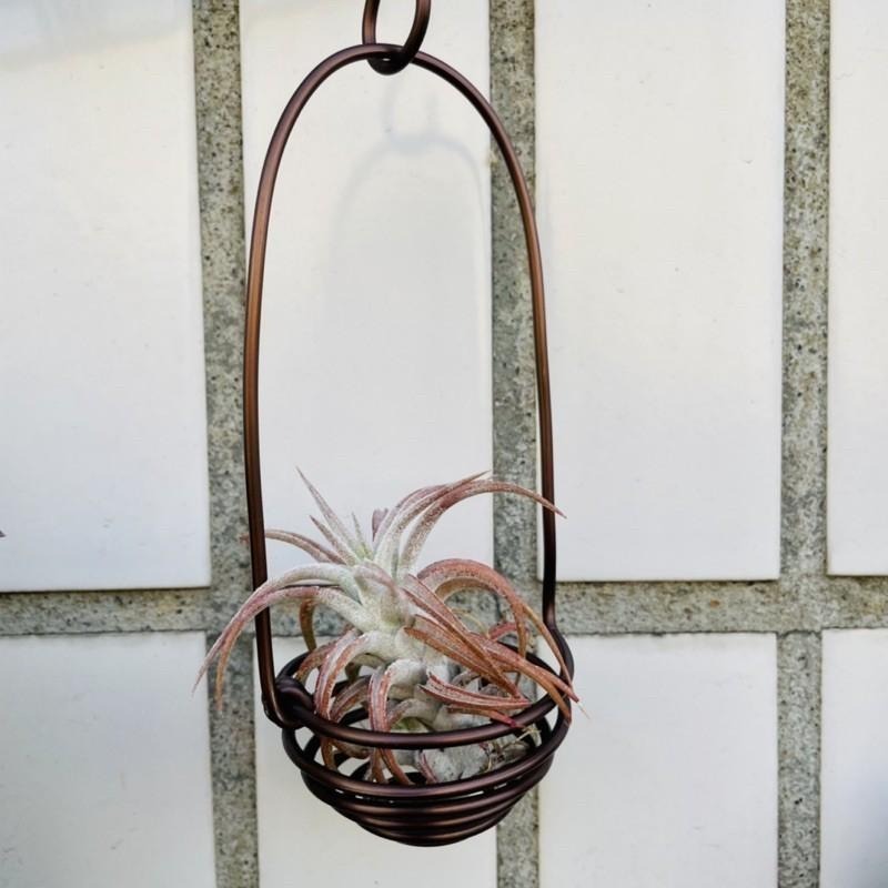 微甜多肉小陽台．空氣鳳梨的家｜鋁線手作．空鳳掛籃(5公分圓寬，不含植物)-細節圖3