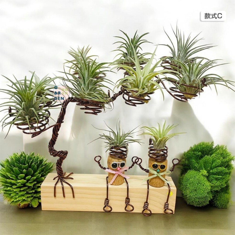 微甜多肉小陽台．空氣鳳梨的家｜鋁線手作． 鋁線樹(可放8顆空鳳)( 出貨不含植物與擺飾)-細節圖4