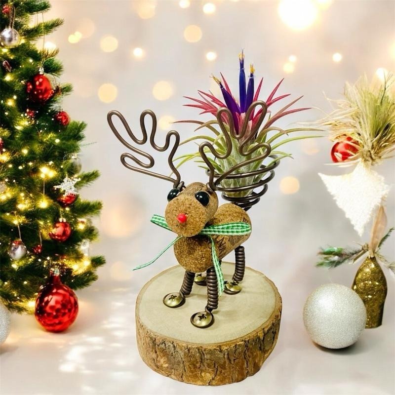 微甜多肉小陽台．空氣鳳梨的家｜鋁線手作．軟木塞麋鹿空鳳木架（不含空鳳）-細節圖5