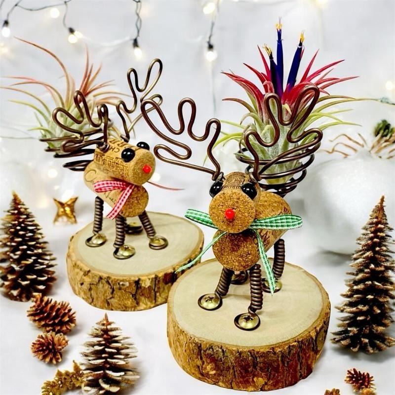 微甜多肉小陽台．空氣鳳梨的家｜鋁線手作．軟木塞麋鹿空鳳木架（不含空鳳）-細節圖7