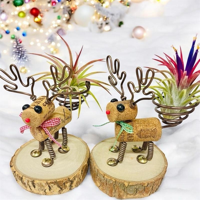 微甜多肉小陽台．空氣鳳梨的家｜鋁線手作．軟木塞麋鹿空鳳木架（不含空鳳）-細節圖8