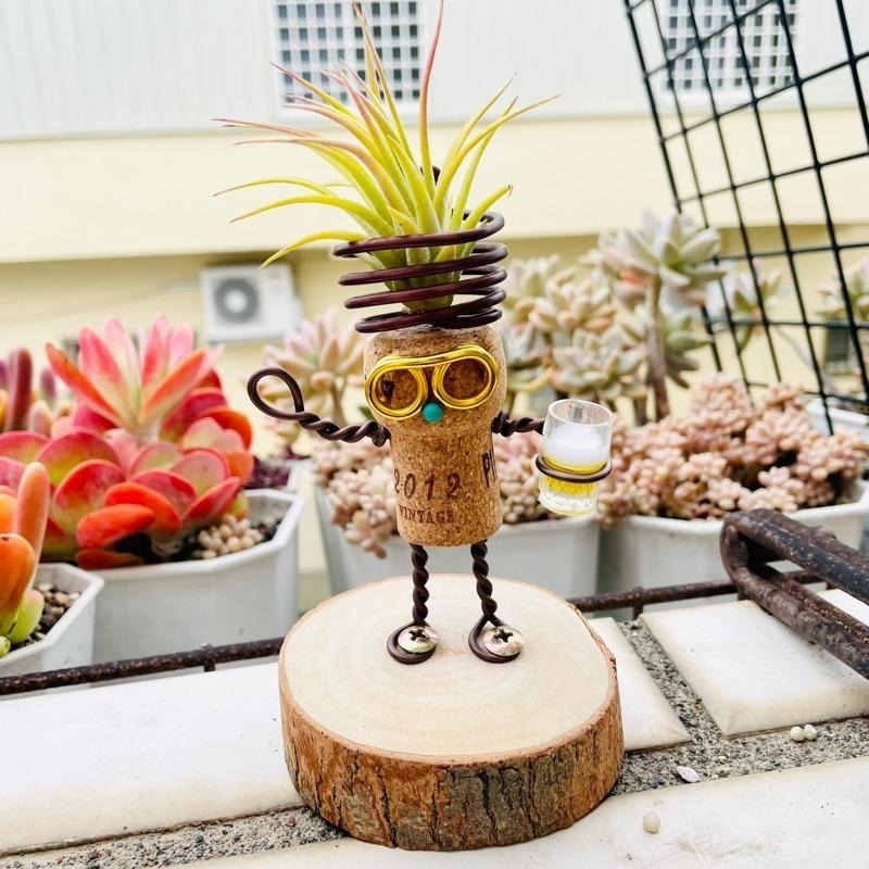 微甜多肉小陽台．空氣鳳梨的家｜鋁線手作．飲料吧~軟木塞空鳳木架(不含植物)-細節圖3