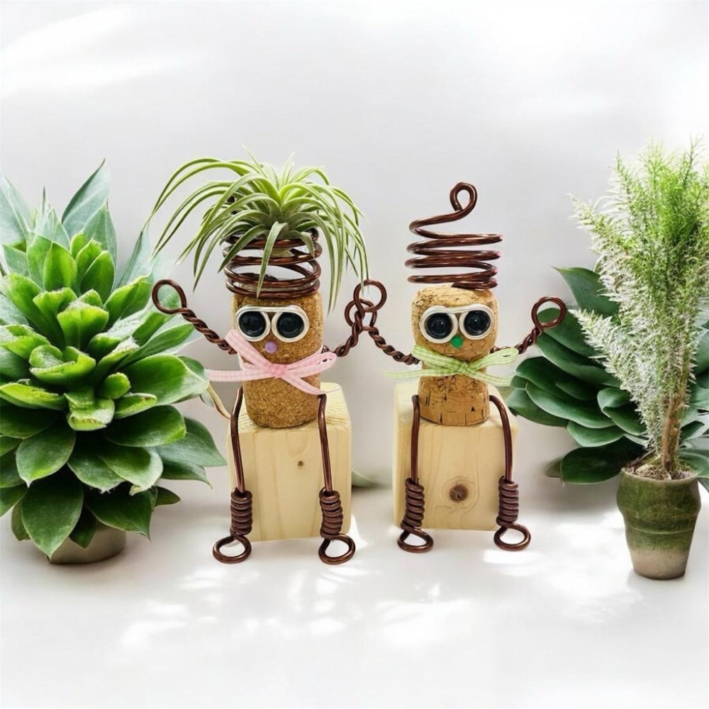 微甜多肉小陽台．空氣鳳梨的家｜鋁線手作．軟木塞娃娃空鳳架×積木座(不含空鳳)-細節圖2